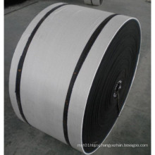 Nn400 Nylon Conveyor Belt with Excellent Impact Durability Made in China